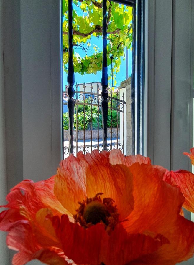 Casa Isabella B&B Koper Exteriér fotografie
